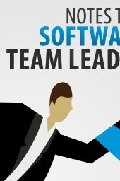 Notes to a Software Team Leader image